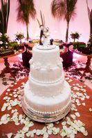 Foto 13 da busca por noivinhos. Adecir, Cristiani, Macae, casamento, bolo, topo de bolo, noivinhos